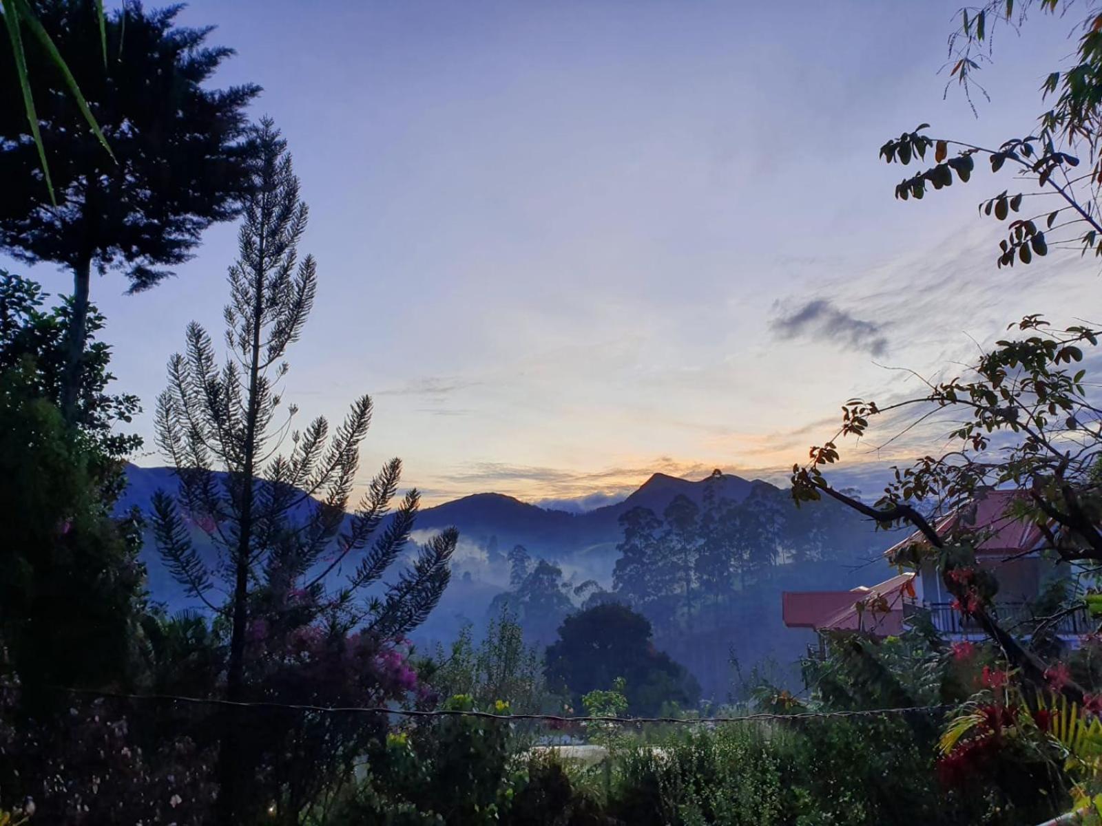 Princess Of Dickoya Homestay Hatton Szoba fotó
